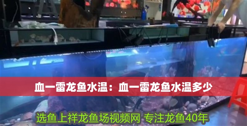 血一雷龍魚水溫：血一雷龍魚水溫多少