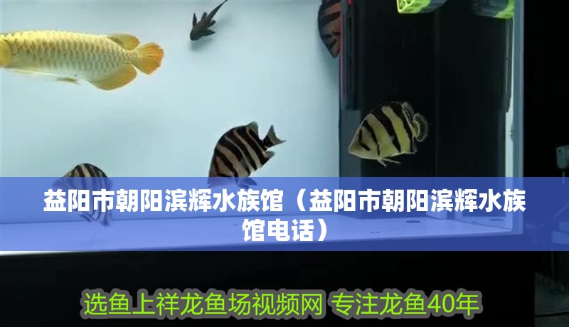 益陽市朝陽濱輝水族館（益陽市朝陽濱輝水族館電話）