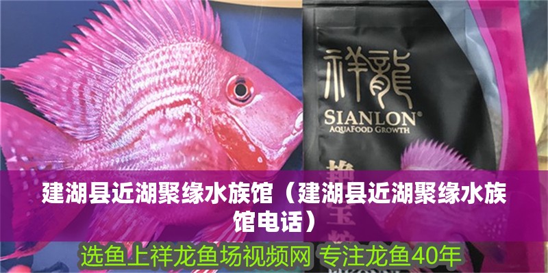 建湖縣近湖聚緣水族館(建湖縣近湖聚緣水族館電話) 全國水族館企業名錄 第2張 建湖縣近湖聚緣水族館(建湖縣近湖聚緣水族館電話) 建湖縣近湖聚緣水族館(建湖縣近湖聚緣水族館電話) 全國水族館企業名錄 第2張