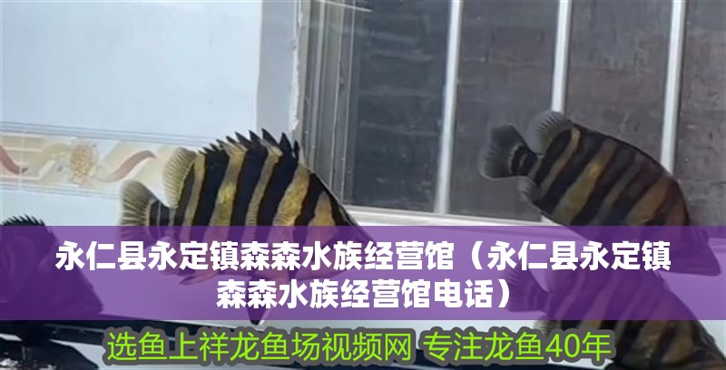 永仁縣永定鎮森森水族經營館（永仁縣永定鎮森森水族經營館電話） 永仁縣永定鎮森森水族經營館（永仁縣永定鎮森森水族經營館電話） 全國水族館企業名錄 第2張