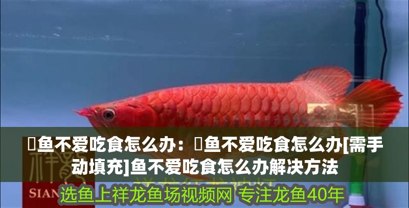 魟魚(yú)不愛(ài)吃食怎么辦：魟魚(yú)不愛(ài)吃食怎么辦[需手動(dòng)填充]魚(yú)不愛(ài)吃食怎么辦解決方法 魟魚(yú)不愛(ài)吃食怎么辦：魟魚(yú)不愛(ài)吃食怎么辦[需手動(dòng)填充]魚(yú)不愛(ài)吃食怎么辦解決方法 魟魚(yú)百科 第2張