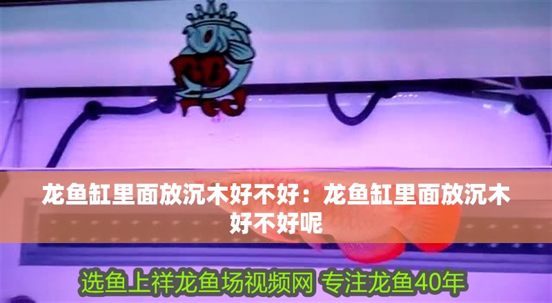 龍魚缸里面放沉木好不好：龍魚缸里面放沉木好不好呢