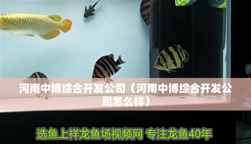 河南中博綜合開發公司（河南中博綜合開發公司怎么樣） 河南中博綜合開發公司（河南中博綜合開發公司怎么樣） 全國水族館企業名錄 第2張