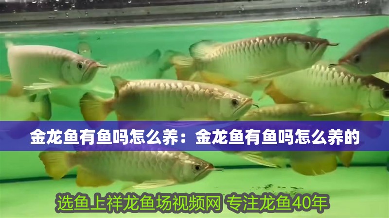 金龍魚有魚嗎怎么養：金龍魚有魚嗎怎么養的