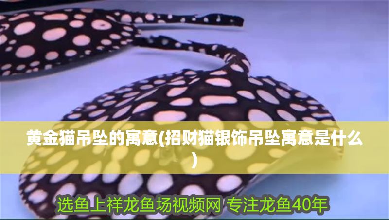 黃金貓吊墜的寓意(招財貓銀飾吊墜寓意是什么) 黃金貓吊墜的寓意(招財貓銀飾吊墜寓意是什么) 黃金貓魚百科 第1張