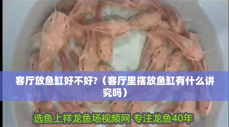客廳放魚缸好不好?（客廳里擺放魚缸有什么講究嗎）