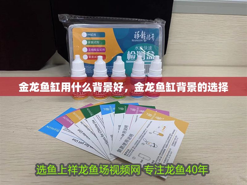金龍魚缸用什么背景好，金龍魚缸背景的選擇