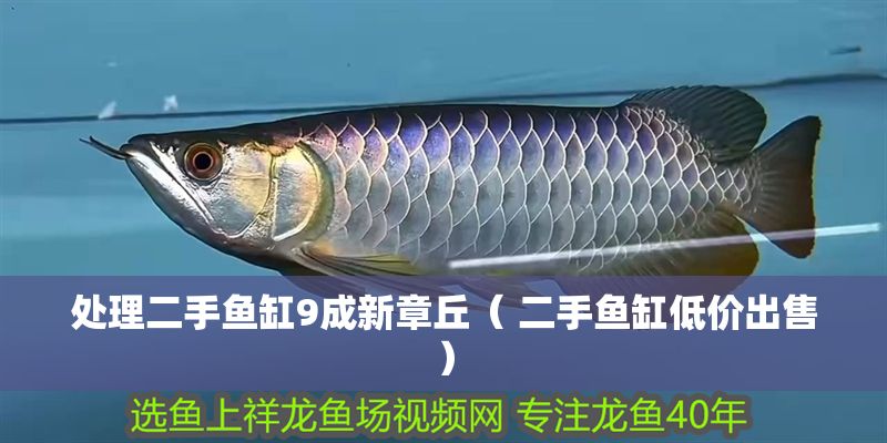 處理二手魚缸9成新章丘（ 二手魚缸低價出售）