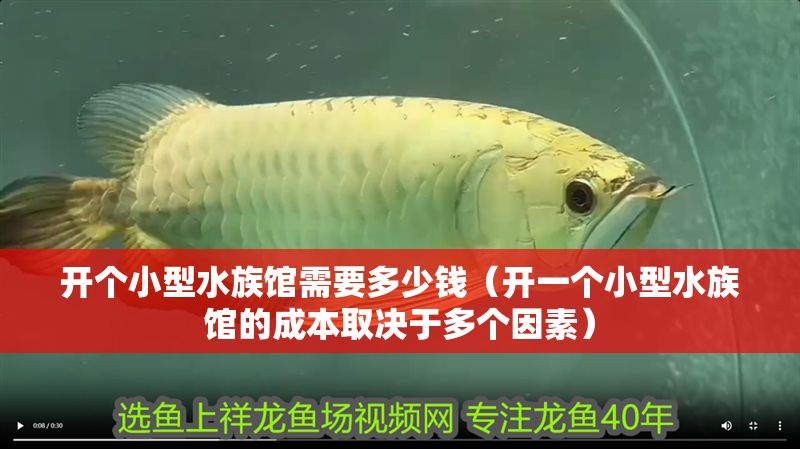 開個小型水族館需要多少錢（開一個小型水族館的成本取決于多個因素）
