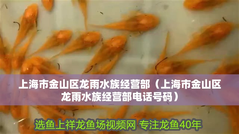 上海市金山區龍雨水族經營部（上海市金山區龍雨水族經營部電話號碼）