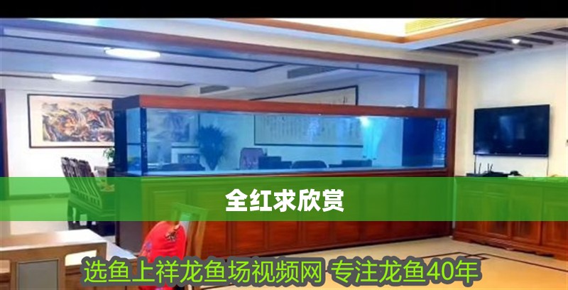 全紅求欣賞