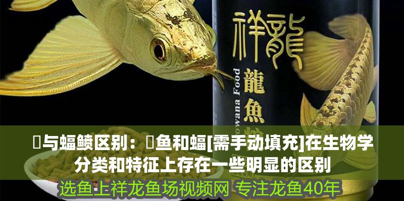 魟與蝠鲼區別：魟魚和蝠[需手動填充]在生物學分類和特征上存在一些明顯的區別