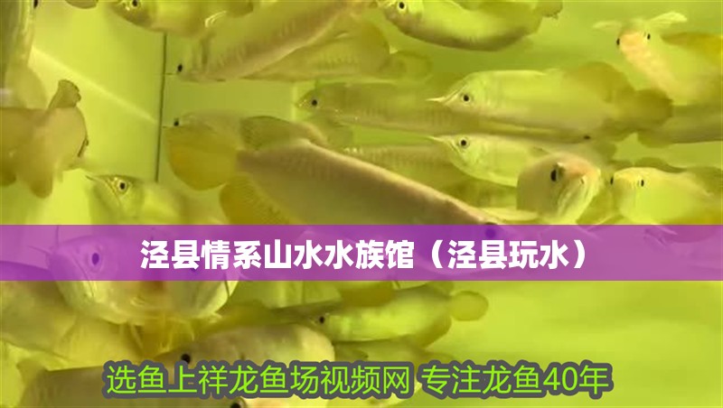 涇縣情系山水水族館（涇縣玩水）