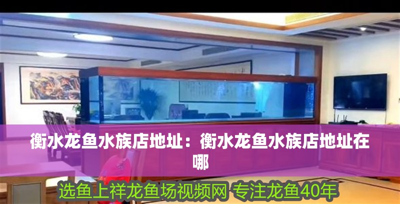 衡水龍魚水族店地址：衡水龍魚水族店地址在哪 衡水龍魚水族店地址：衡水龍魚水族店地址在哪 水族問答