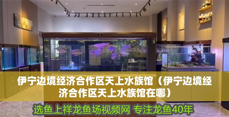 伊寧邊境經濟合作區天上水族館（伊寧邊境經濟合作區天上水族館在哪）