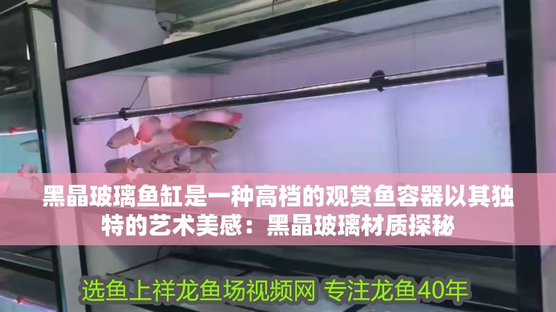 黑晶玻璃魚缸是一種高檔的觀賞魚容器以其獨特的藝術美感：黑晶玻璃材質探秘 黑晶玻璃魚缸是一種高檔的觀賞魚容器以其獨特的藝術美感：黑晶玻璃材質探秘 魚缸百科