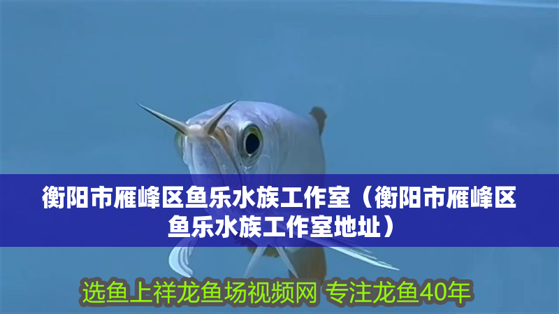衡陽市雁峰區魚樂水族工作室（衡陽市雁峰區魚樂水族工作室地址）