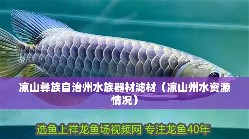 涼山彝族自治州水族器材濾材（涼山州水資源情況）