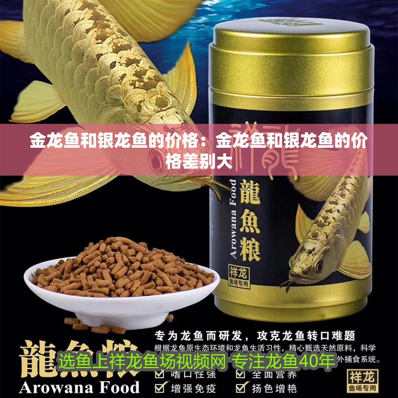 金龍魚(yú)和銀龍魚(yú)的價(jià)格：金龍魚(yú)和銀龍魚(yú)的價(jià)格差別大