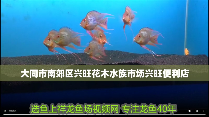 大同市南郊區興旺花木水族市場興旺便利店