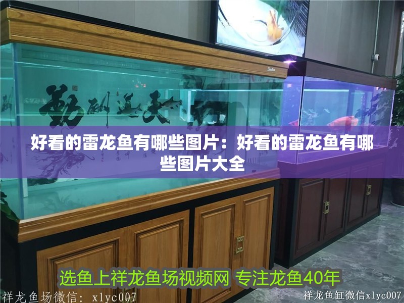 好看的雷龍魚有哪些圖片：好看的雷龍魚有哪些圖片大全