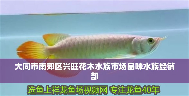 大同市南郊區興旺花木水族市場品味水族經銷部
