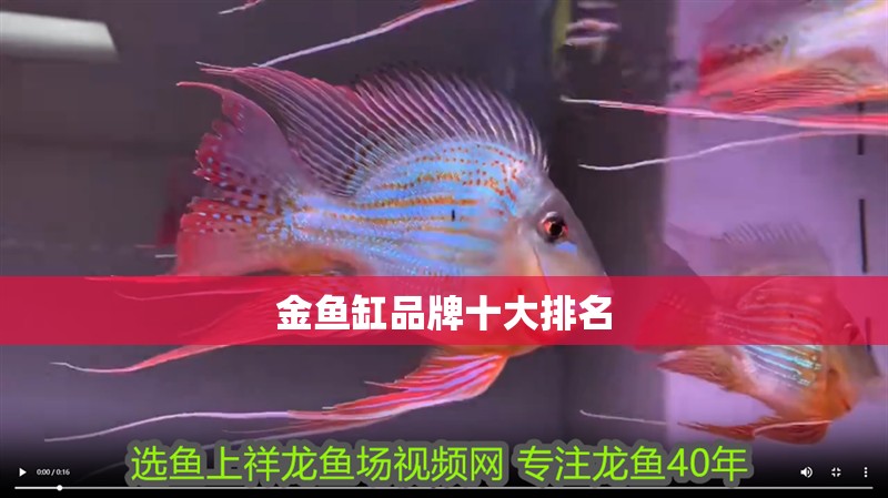 金魚缸品牌十大排名