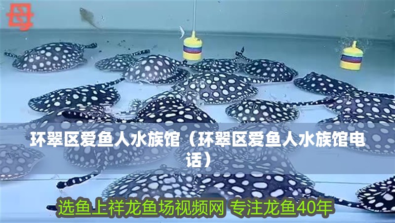 環翠區愛魚人水族館（環翠區愛魚人水族館電話）