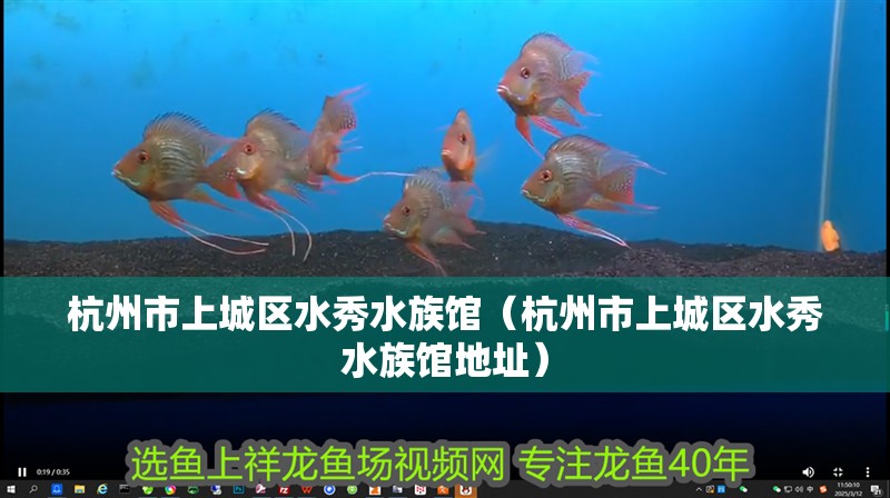 杭州市上城區水秀水族館（杭州市上城區水秀水族館地址）