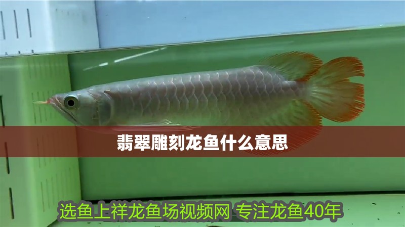 翡翠雕刻龍魚什么意思 翡翠雕刻龍魚什么意思 龍魚百科 第2張