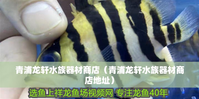 青浦龍軒水族器材商店（青浦龍軒水族器材商店地址）