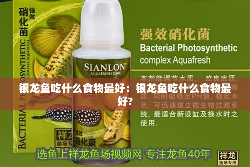 銀龍魚吃什么食物最好：銀龍魚吃什么食物最好?