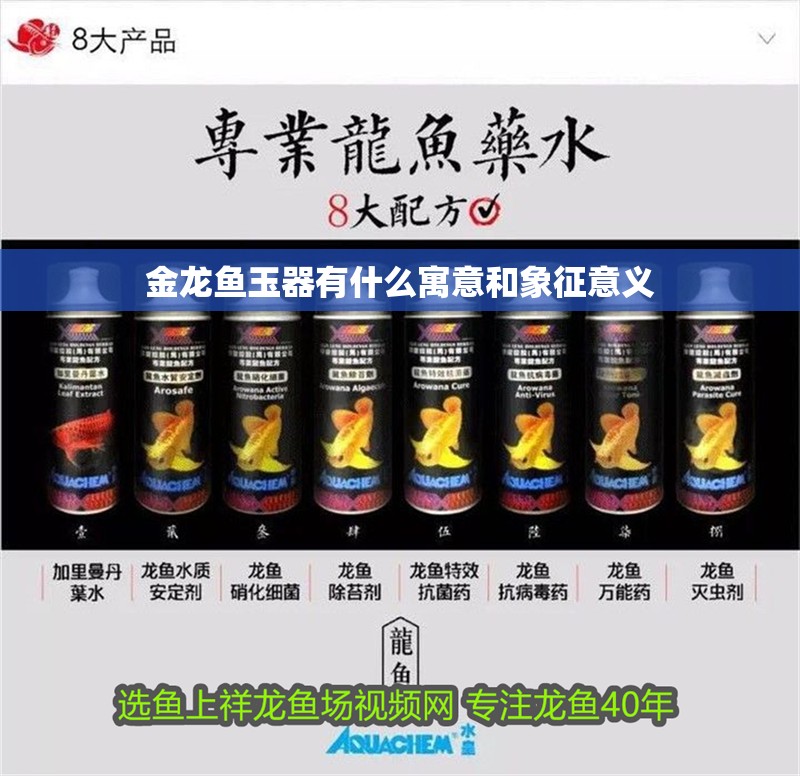 金龍魚玉器有什么寓意和象征意義 龍魚百科 第3張 金龍魚玉器有什么寓意和象征意義 金龍魚玉器有什么寓意和象征意義 龍魚百科 第3張
