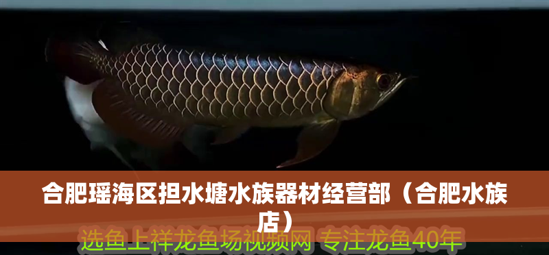 合肥瑤海區擔水塘水族器材經營部（合肥水族店）