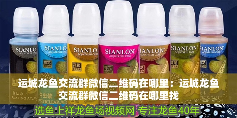 運(yùn)城龍魚交流群微信二維碼在哪里:運(yùn)城龍魚交流群微信二維碼在哪里找 水族問答 運(yùn)城龍魚交流群微信二維碼在哪里:運(yùn)城龍魚交流群微信二維碼在哪里找 運(yùn)城龍魚交流群微信二維碼在哪里:運(yùn)城龍魚交流群微信二維碼在哪里找 水族問答