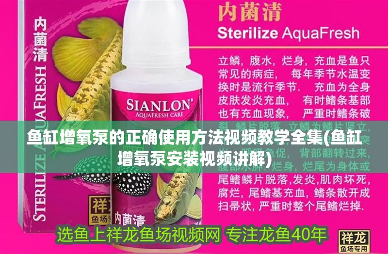 魚缸增氧泵的正確使用方法視頻教學(xué)全集(魚缸增氧泵安裝視頻講解)