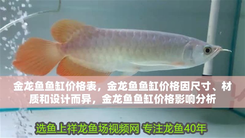 金龍魚魚缸價格表,金龍魚魚缸價格因尺寸、材質(zhì)和設(shè)計而異,金龍魚魚缸價格影響分析 魚缸百科 第2張 金龍魚魚缸價格表,金龍魚魚缸價格因尺寸、材質(zhì)和設(shè)計而異,金龍魚魚缸價格影響分析 金龍魚魚缸價格表,金龍魚魚缸價格因尺寸、材質(zhì)和設(shè)計而異,金龍魚魚缸價格影響分析 魚缸百科 第2張