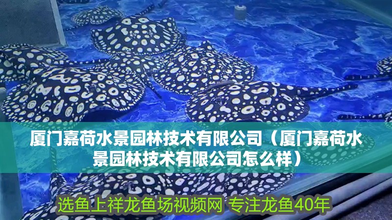 廈門嘉荷水景園林技術有限公司（廈門嘉荷水景園林技術有限公司怎么樣） 廈門嘉荷水景園林技術有限公司（廈門嘉荷水景園林技術有限公司怎么樣） 全國水族館企業名錄 第2張