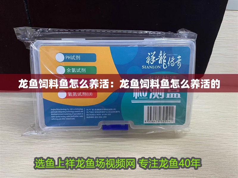 龍魚飼料魚怎么養活:龍魚飼料魚怎么養活的 水族問答 龍魚飼料魚怎么養活:龍魚飼料魚怎么養活的 龍魚飼料魚怎么養活:龍魚飼料魚怎么養活的 水族問答