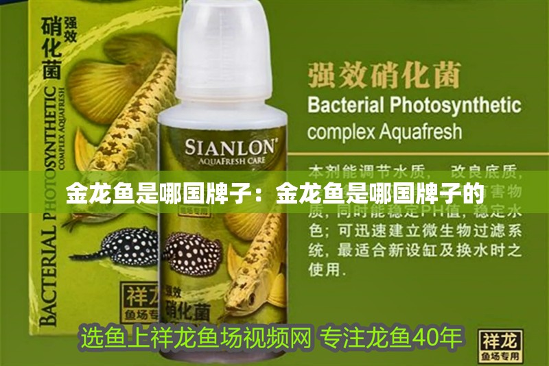 金龍魚是哪國牌子：金龍魚是哪國牌子的
