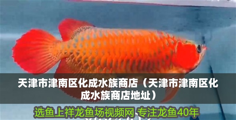 天津市津南區化成水族商店（天津市津南區化成水族商店地址）