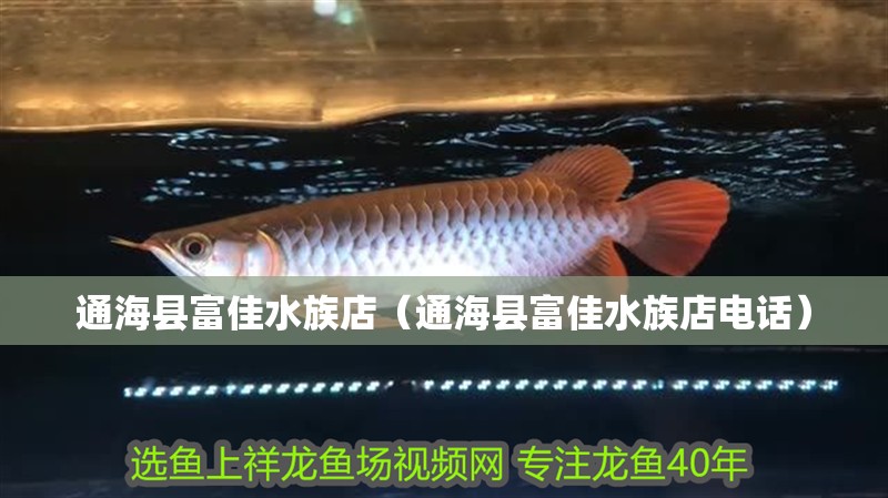 通海縣富佳水族店（通海縣富佳水族店電話）