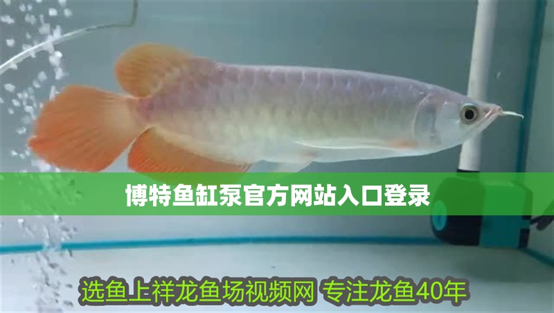博特魚(yú)缸泵官方網(wǎng)站入口登錄