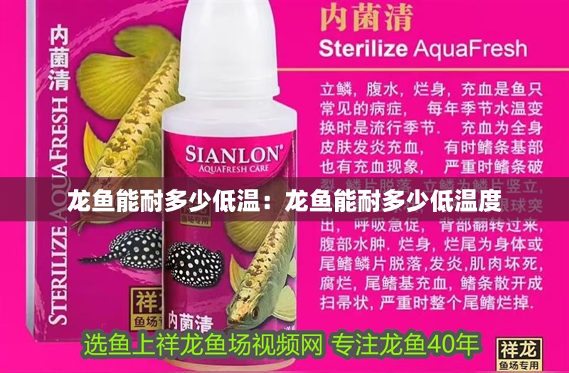 龍魚能耐多少低溫：龍魚能耐多少低溫度