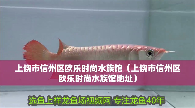 上饒市信州區(qū)歐樂時尚水族館（上饒市信州區(qū)歐樂時尚水族館地址）