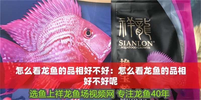 怎么看龍魚的品相好不好：怎么看龍魚的品相好不好呢