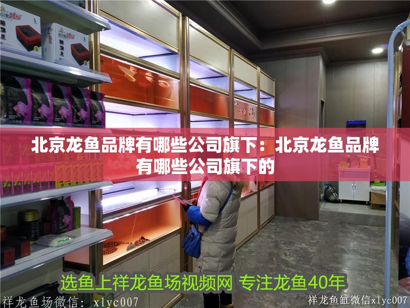 北京龍魚品牌有哪些公司旗下：北京龍魚品牌有哪些公司旗下的 北京龍魚品牌有哪些公司旗下：北京龍魚品牌有哪些公司旗下的 水族問答