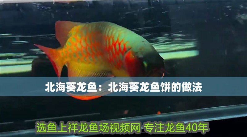 北海葵龍魚：北海葵龍魚餅的做法