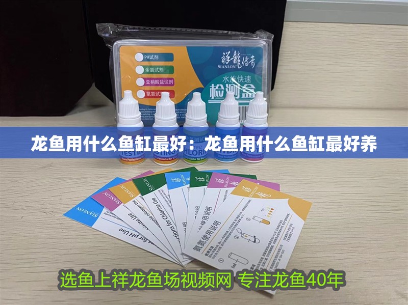 龍魚用什么魚缸最好：龍魚用什么魚缸最好養