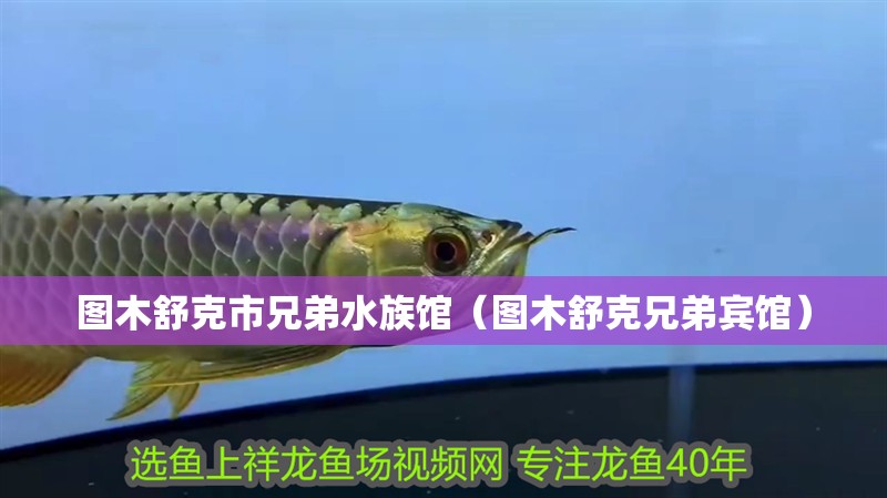 圖木舒克市兄弟水族館（圖木舒克兄弟賓館） 圖木舒克市兄弟水族館（圖木舒克兄弟賓館） 全國水族館企業名錄 第2張